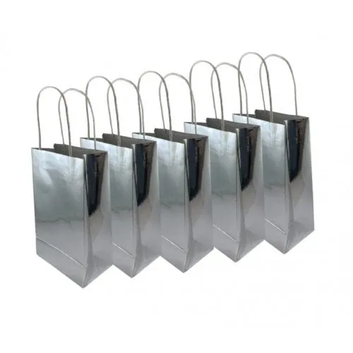 5pk Metallic Silver Paper Party Gift Bags