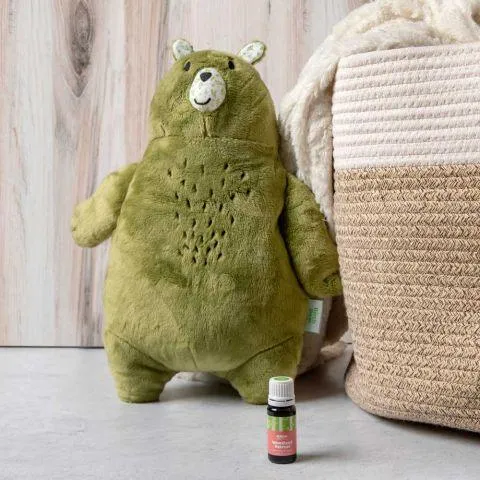 Aroma Plush Birch Bear and Essential Oil Set – A Cuddly Companion with Soothing Scents