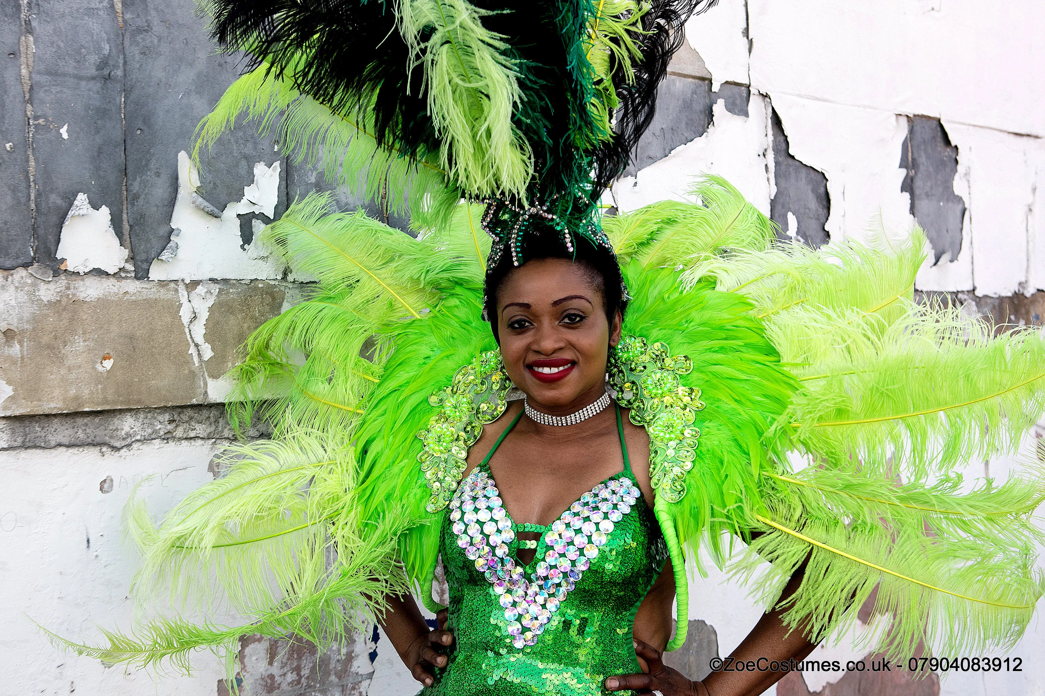 Carnival Costumes Feather Backpacks Hire Carnival Outfit | Zoe Carnival Dance Costume rent
