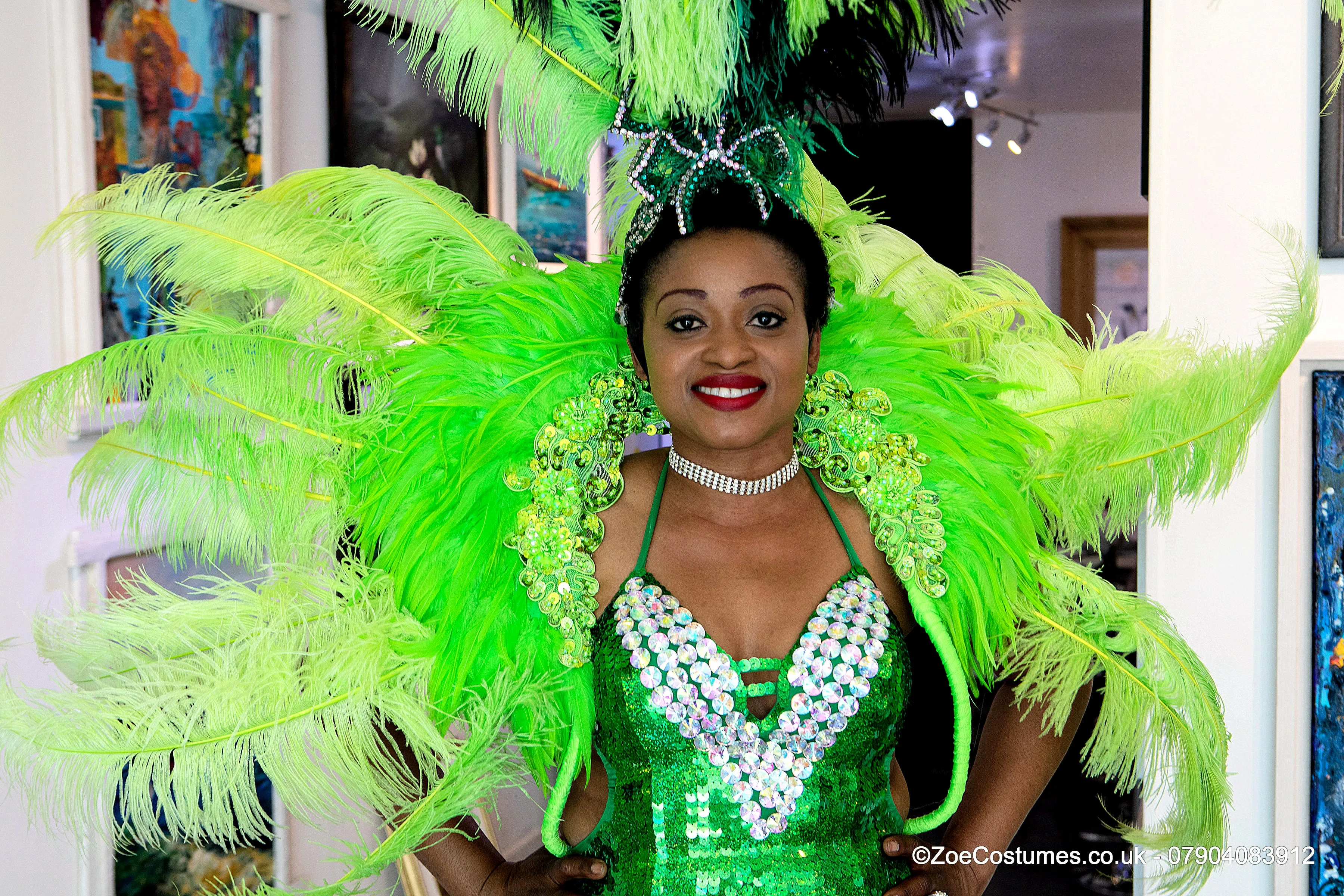 Carnival Costumes Feather Backpacks Hire Carnival Outfit | Zoe Carnival Dance Costume rent