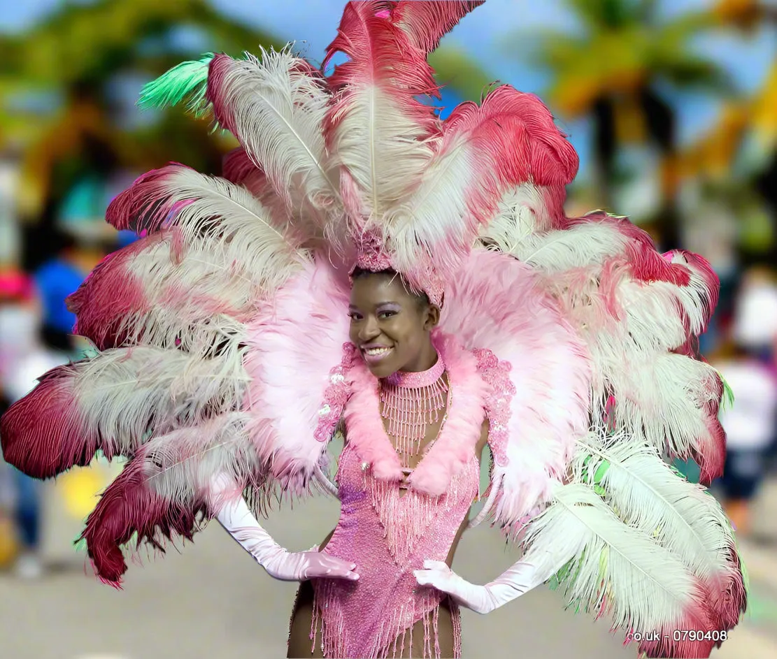 Carnival Costumes Feather Backpacks Hire Carnival Outfit | Zoe Carnival Dance Costume rent