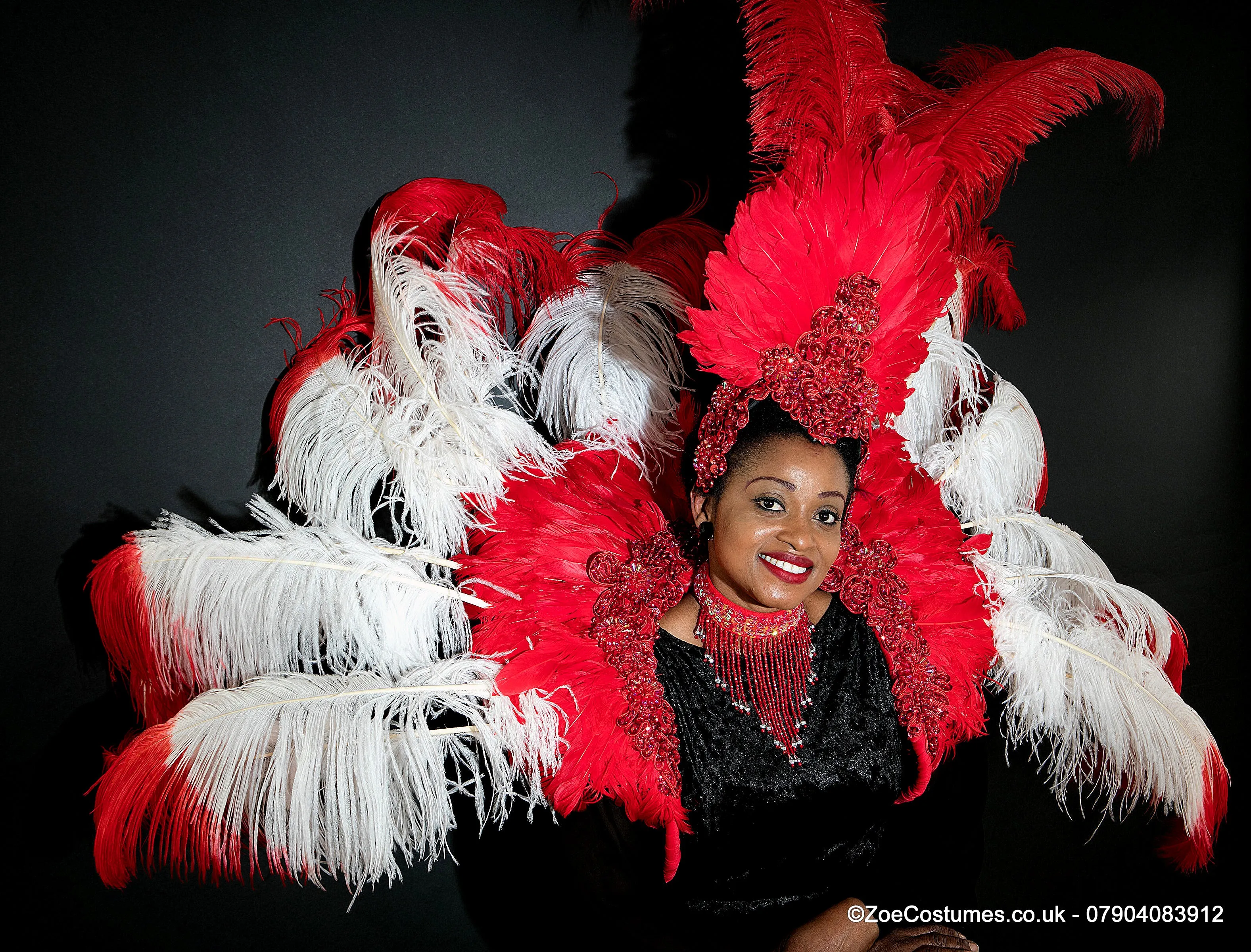 Carnival Costumes Feather Backpacks Hire Carnival Outfit | Zoe Carnival Dance Costume rent