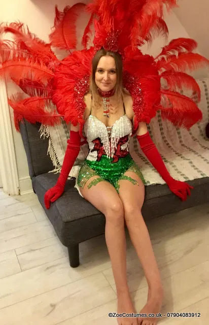 Carnival Costumes Feather Backpacks Hire Carnival Outfit | Zoe Carnival Dance Costume rent