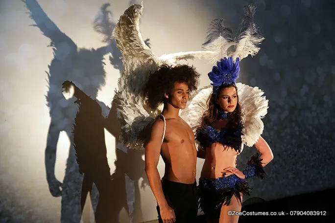 Carnival Costumes Feather Backpacks Hire Carnival Outfit | Zoe Carnival Dance Costume rent