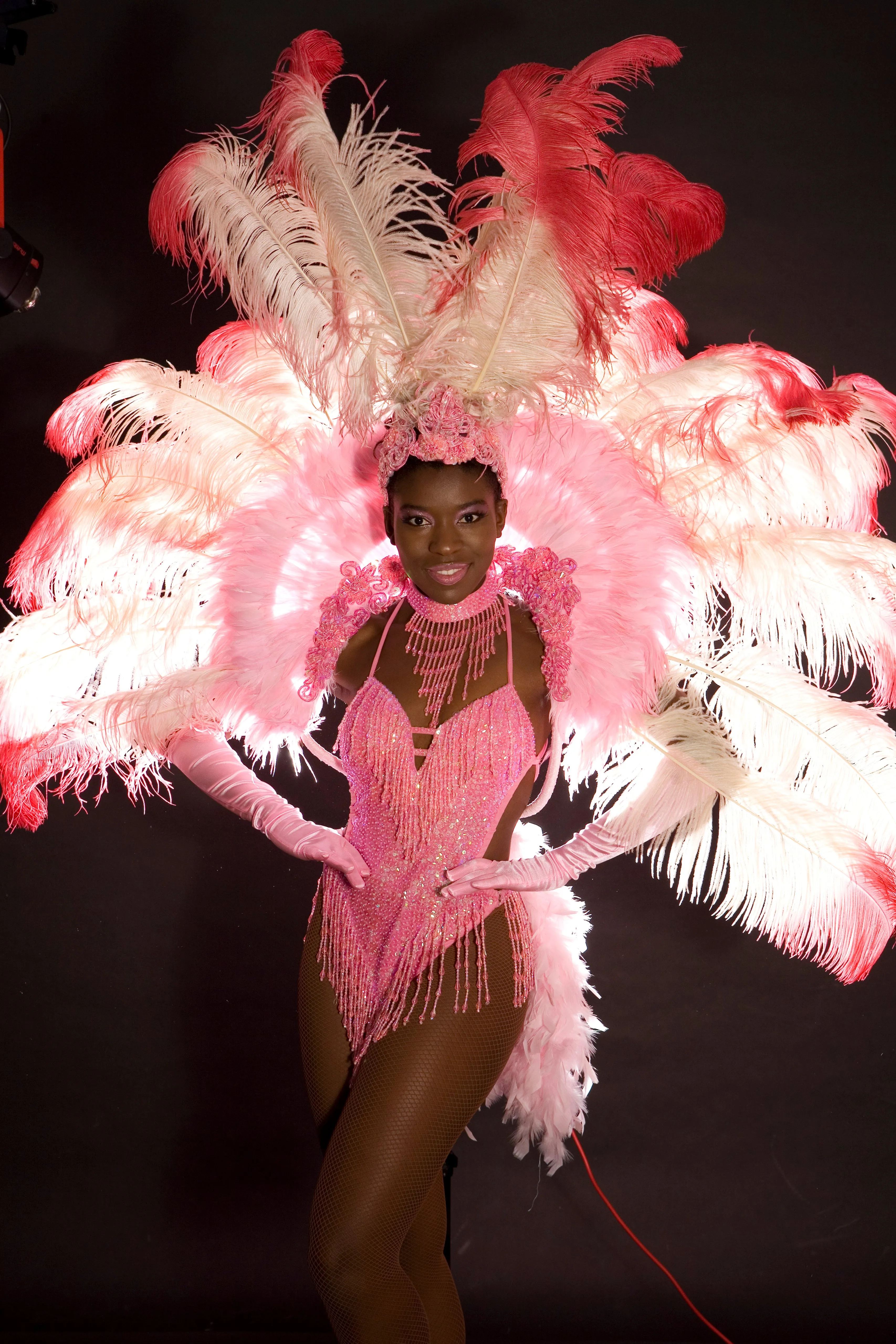 Rio Carnival Feather Costumes Hire | Events Rio Samba Dancers Hire Zoe London Costume Hire