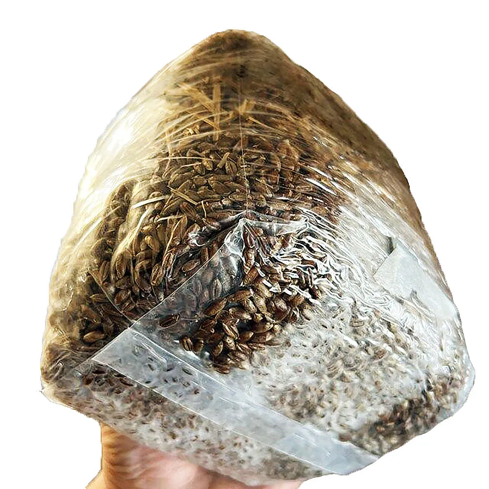 Wood-Based All-In-One Mushroom Grow Bag