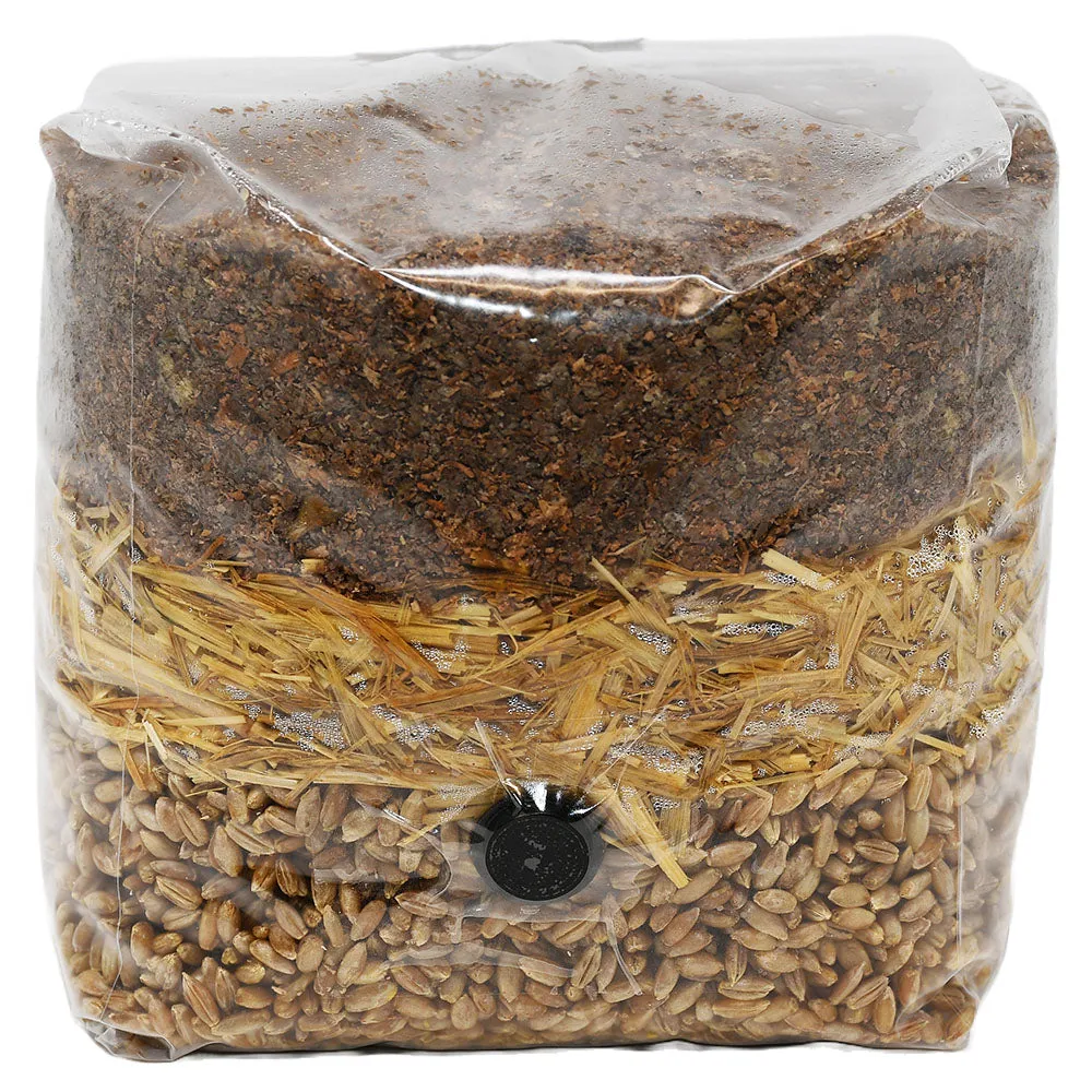 Wood-Based All-In-One Mushroom Grow Bag