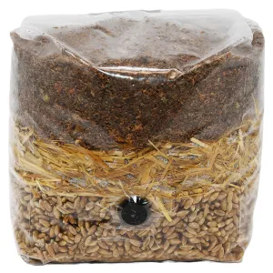Wood-Based All-In-One Mushroom Grow Bag